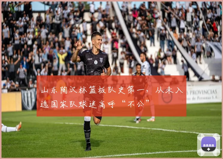 山东陶汉林篮板队史第一，从未入选国家队球迷高呼“不公”